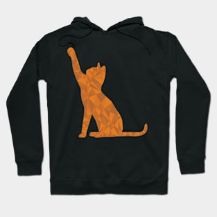 Cat-Abstract Triangle Hoodie